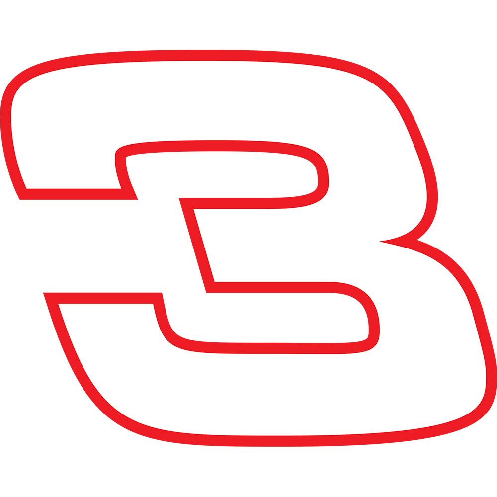 Dale Earnhardt 3 Logo